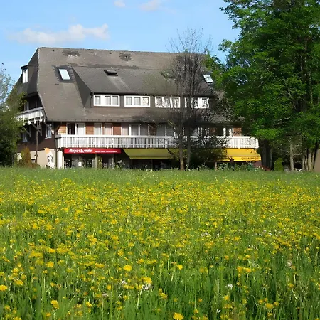 Adler Bellevue