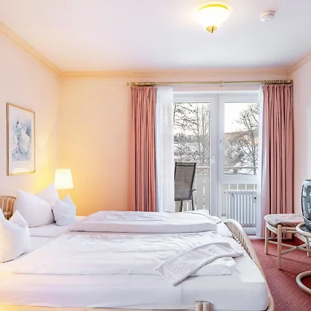 Adler Bellevue Хинтерцартен