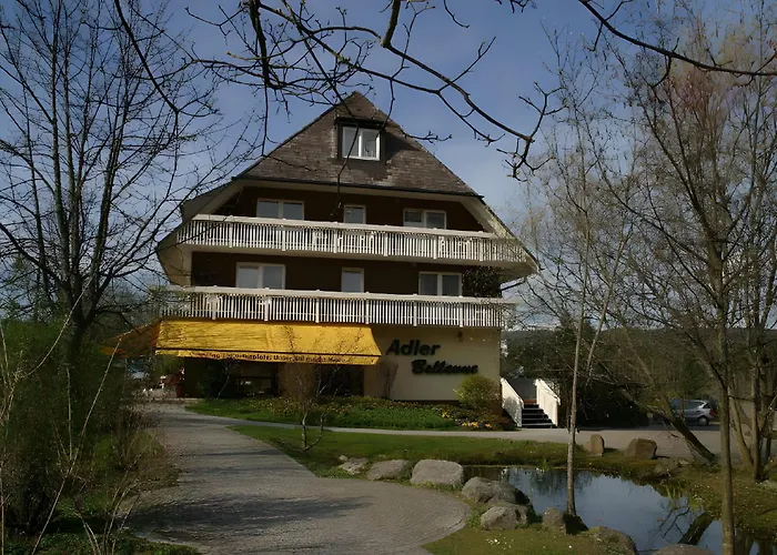 Adler Bellevue Apartment